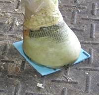 VETTEC SKUM SÅL